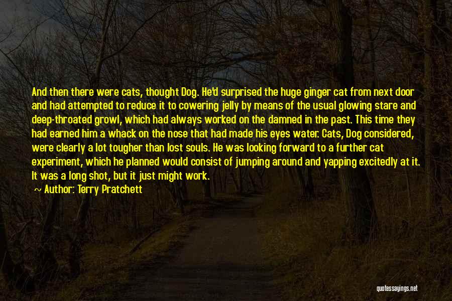 Cowering Quotes By Terry Pratchett