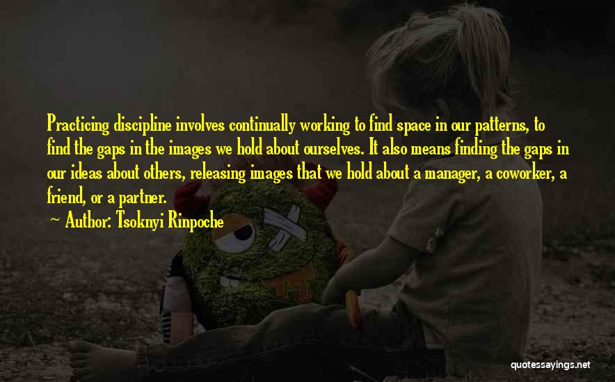 Coworker Quotes By Tsoknyi Rinpoche