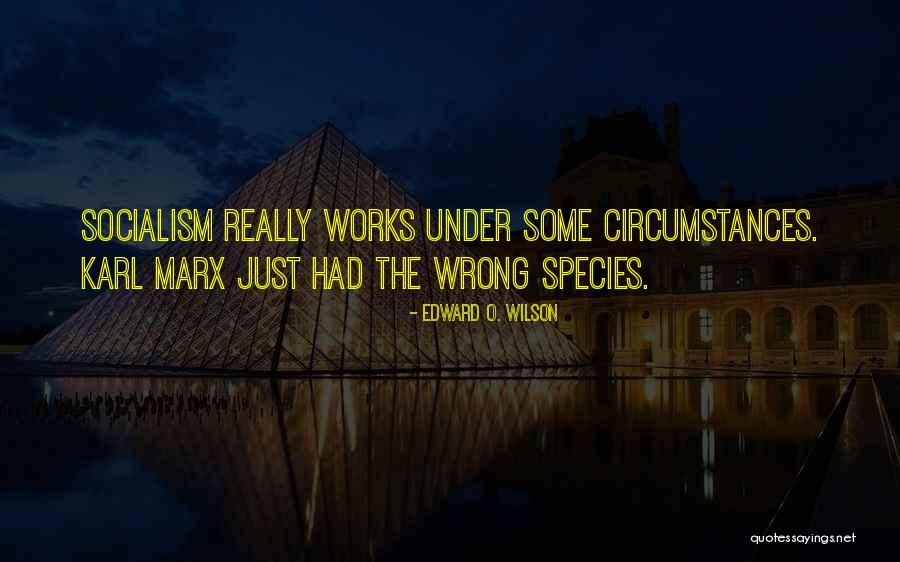 Cowries Quotes By Edward O. Wilson Cowries Quotes By Edward O. Wilson