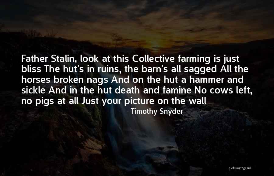 Cows And Farming Quotes By Timothy Snyder Cows And Farming Quotes By Timothy Snyder