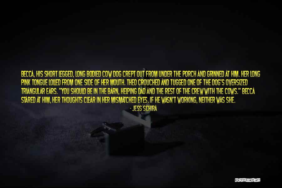 Cows Short Quotes By Jess Schira Cows Short Quotes By Jess Schira