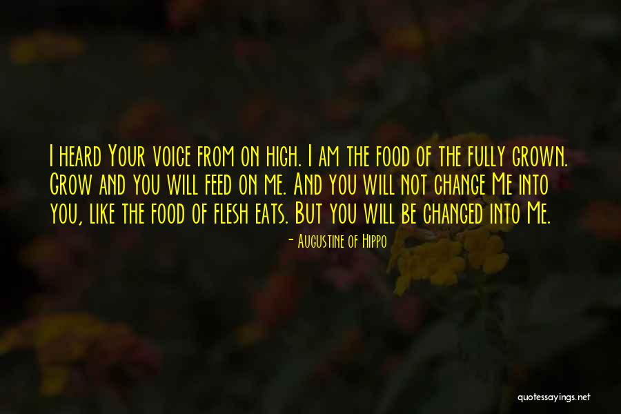 Coxswains Crew Quotes By Augustine Of Hippo Coxswains Crew Quotes By Augustine Of Hippo