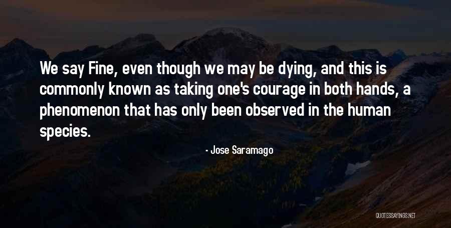 Coyote Life Quotes By Jose Saramago Coyote Life Quotes By Jose Saramago