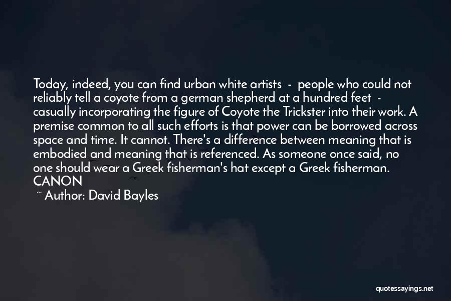 Coyote Quotes By David Bayles