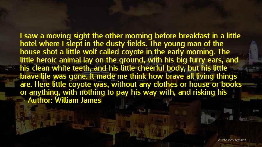 Coyote Quotes By William James