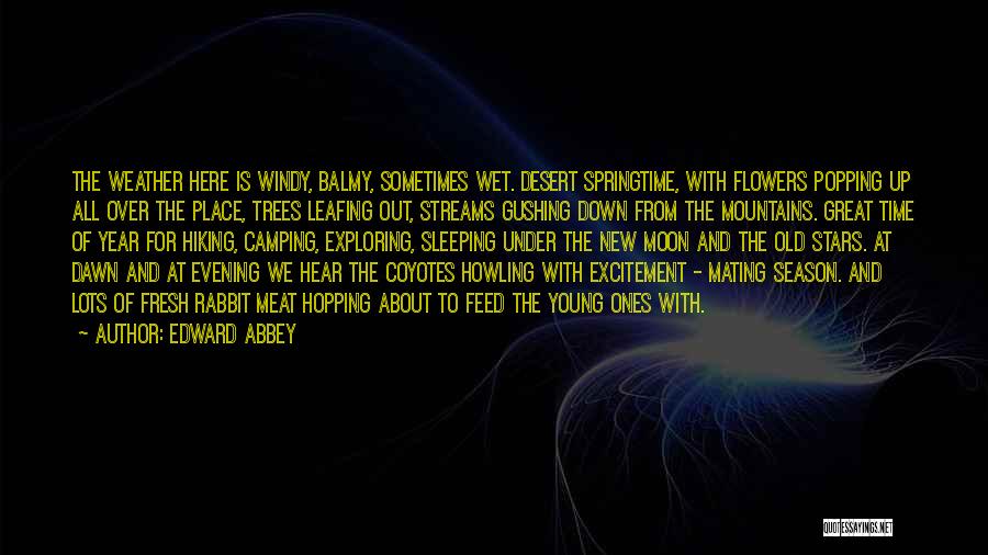 Coyotes Quotes By Edward Abbey