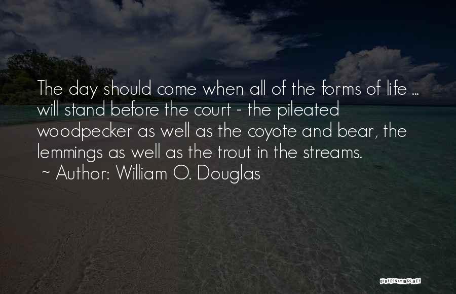 Coyotes Quotes By William O. Douglas