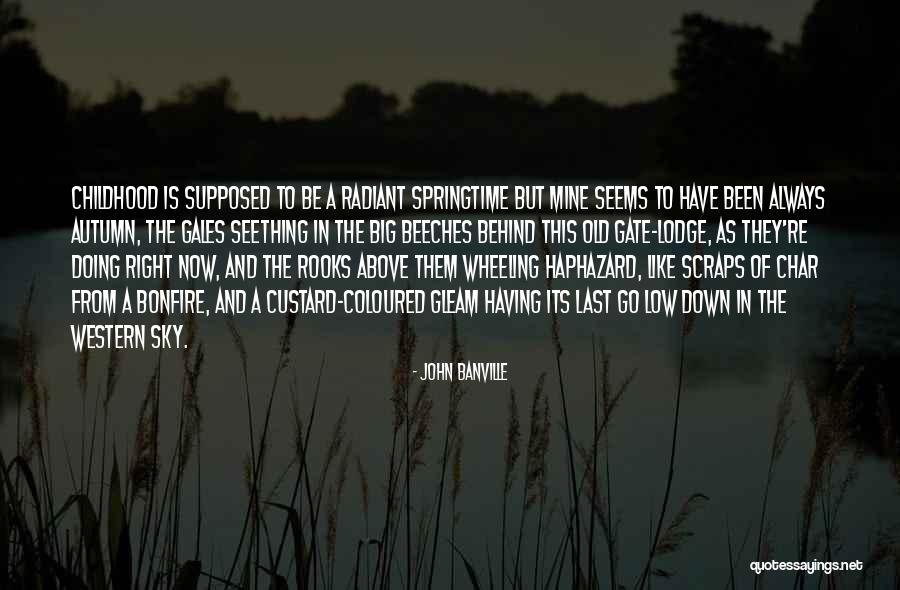Coyotito Got Quotes By John Banville Coyotito Got Quotes By John Banville