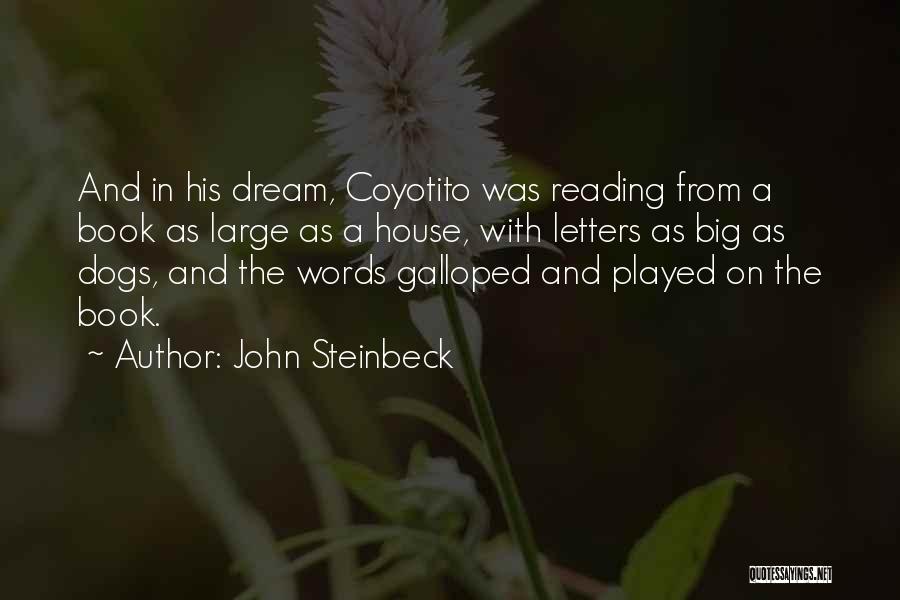 Coyotito Quotes By John Steinbeck