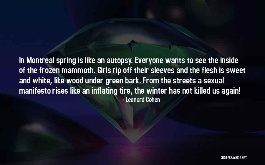 Cozinhar Quotes By Leonard Cohen Cozinhar Quotes By Leonard Cohen