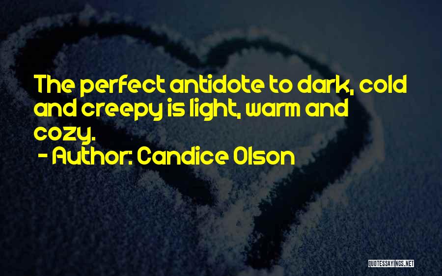 Cozy And Warm Quotes By Candice Olson