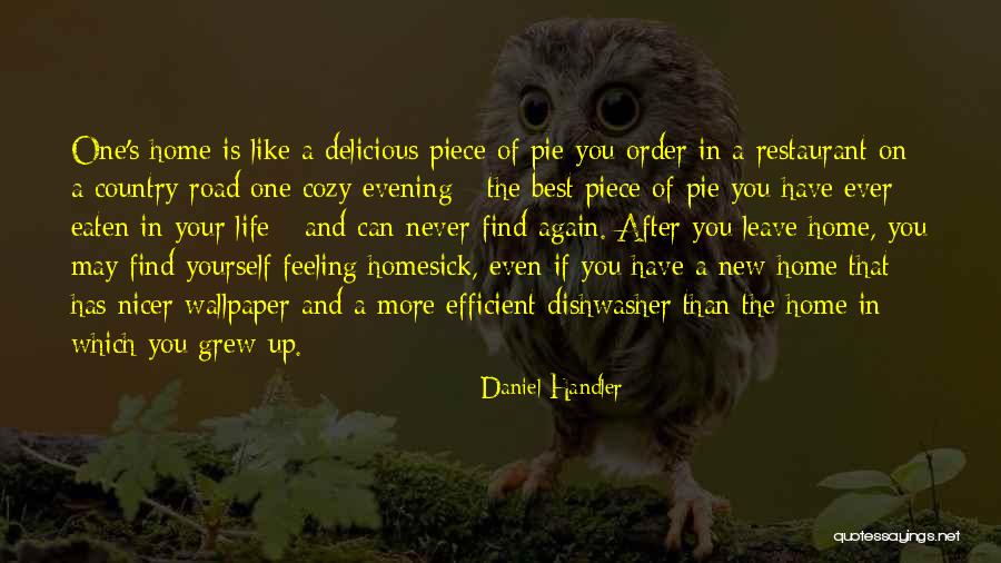 Cozy Evening Quotes By Daniel Handler