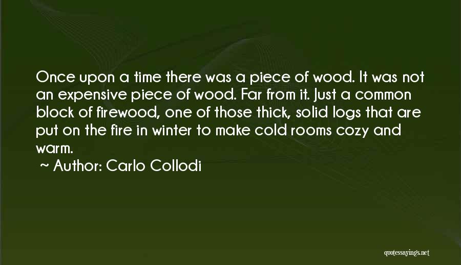 Cozy Fire Quotes By Carlo Collodi