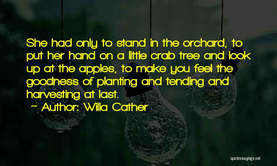 Crab Apples Quotes By Willa Cather