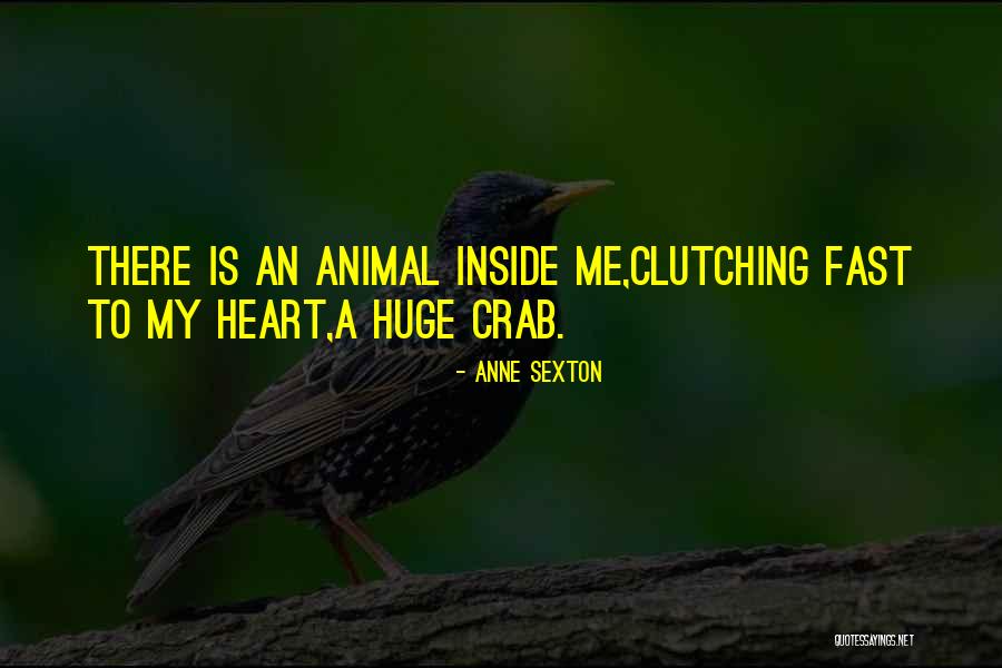 Crabs Quotes By Anne Sexton