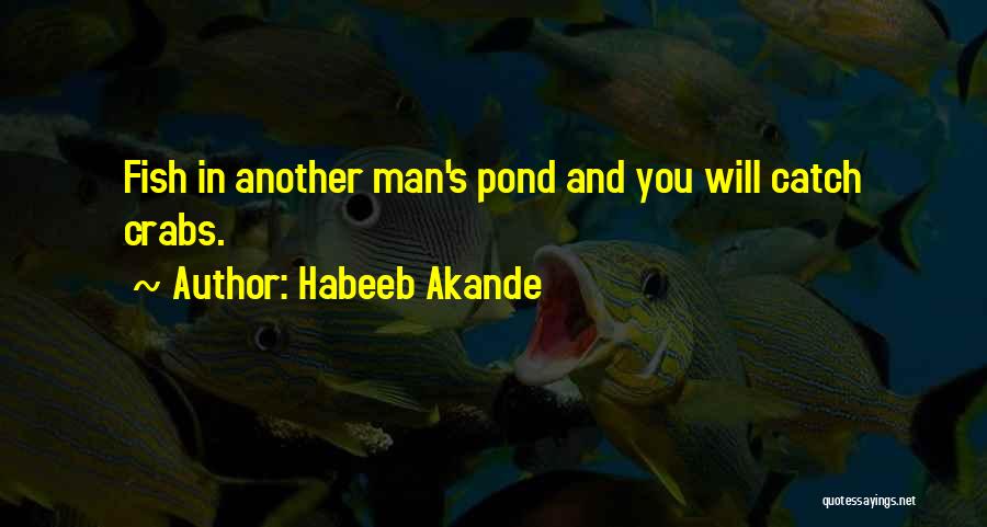 Crabs Quotes By Habeeb Akande