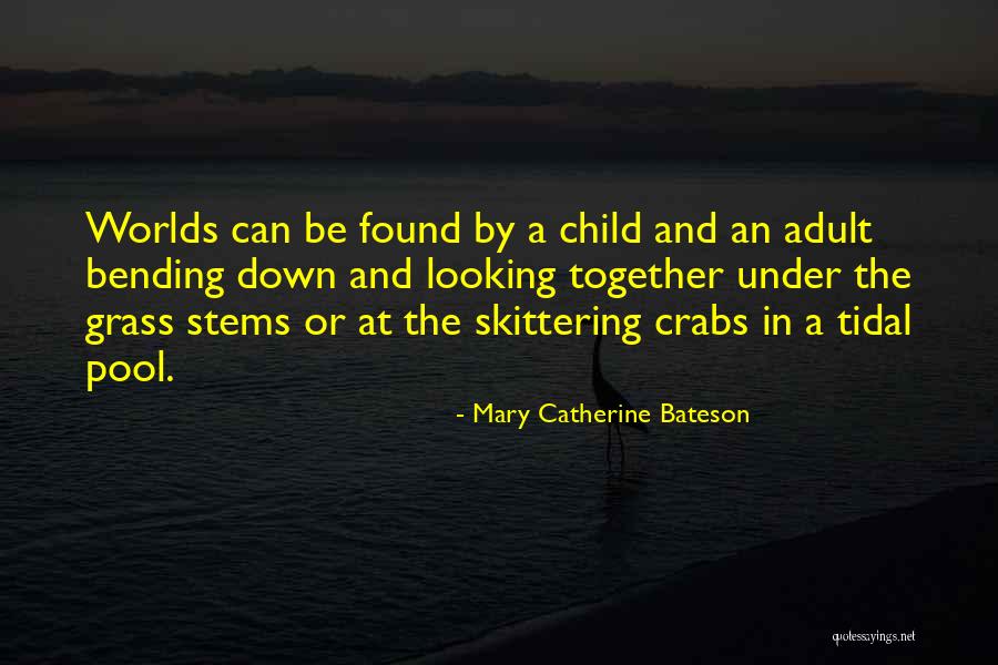 Crabs Quotes By Mary Catherine Bateson Crabs Quotes By Mary Catherine Bateson