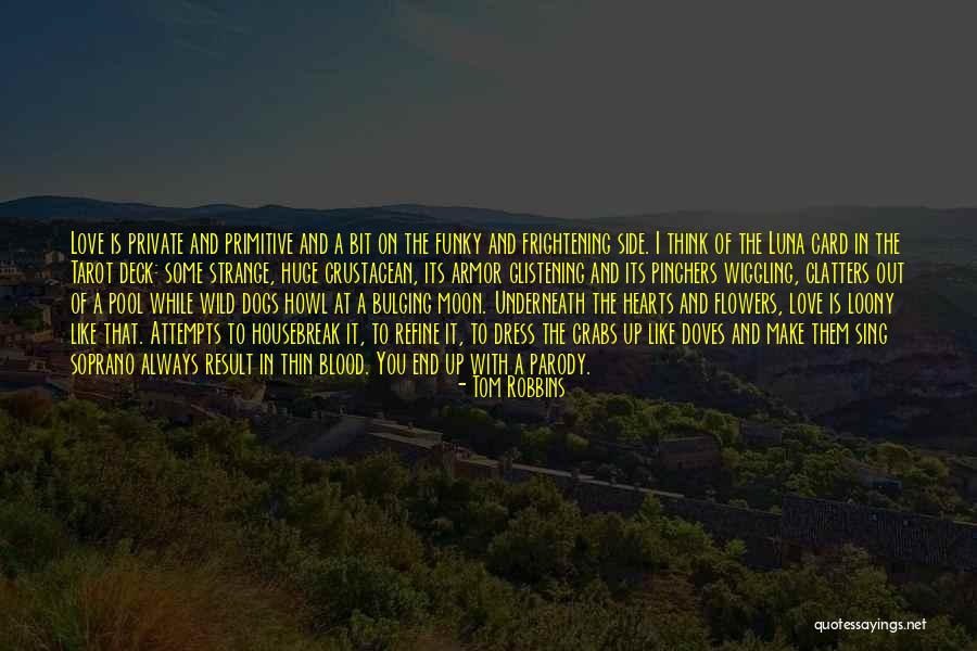 Crabs Quotes By Tom Robbins Crabs Quotes By Tom Robbins