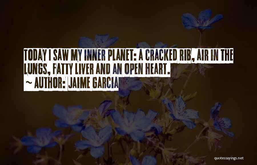 Cracked Heart Quotes By Jaime Garcia