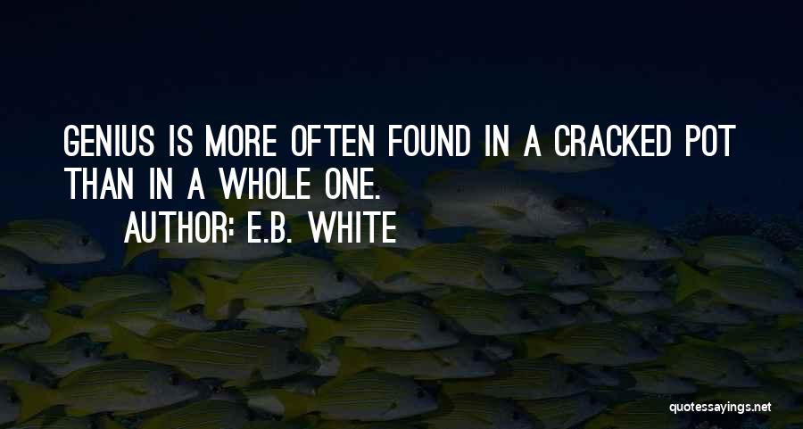 Cracked Pot Quotes By E.B. White