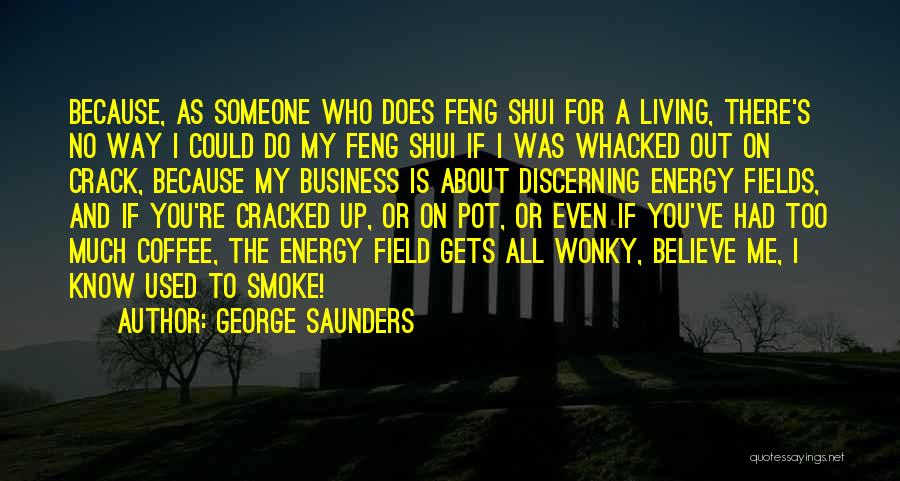 Cracked Pot Quotes By George Saunders