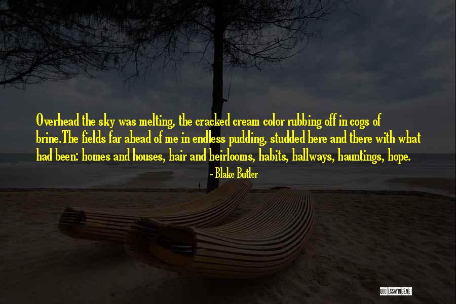Cracked Quotes By Blake Butler Cracked Quotes By Blake Butler