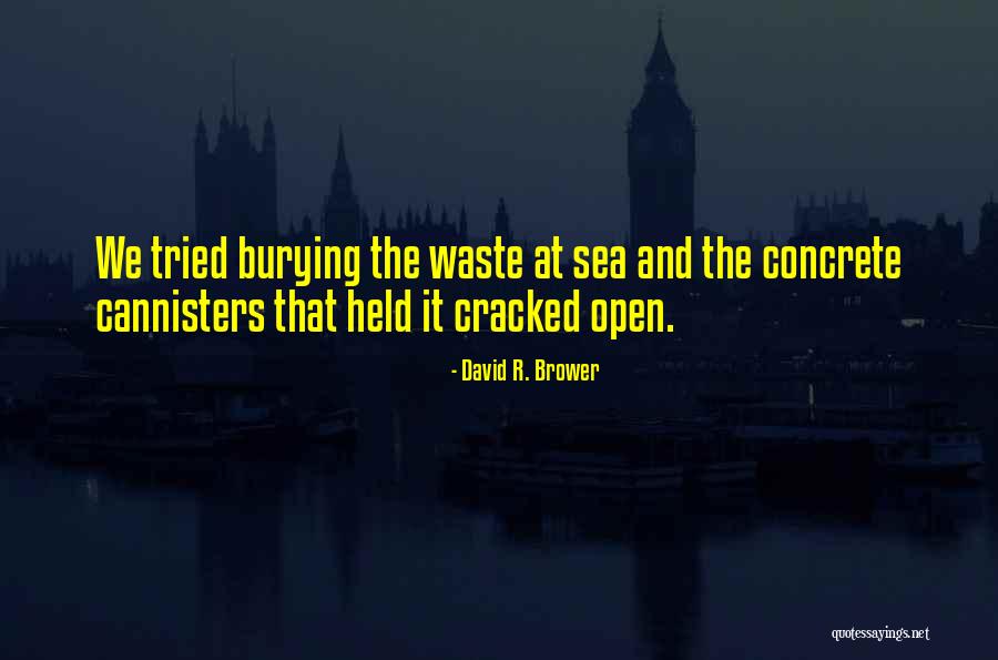 Cracked Quotes By David R. Brower Cracked Quotes By David R. Brower