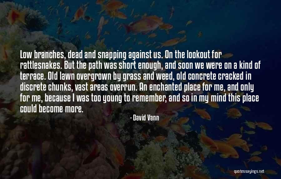 Cracked Quotes By David Vann Cracked Quotes By David Vann
