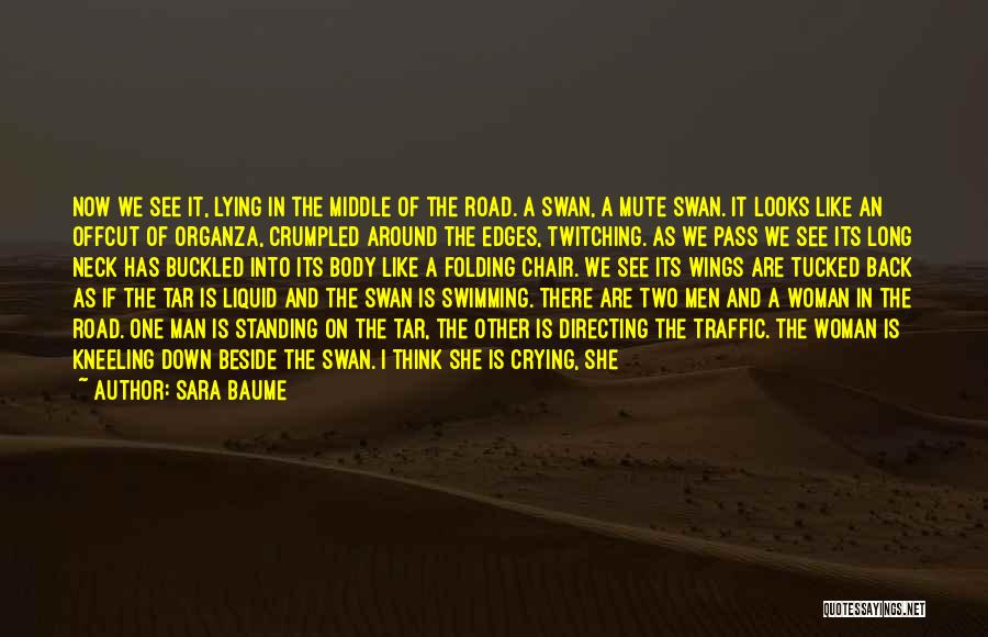 Cracked Road Quotes By Sara Baume