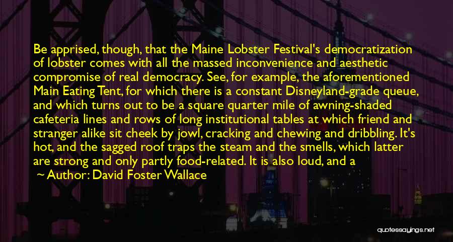 Cracking Quotes By David Foster Wallace