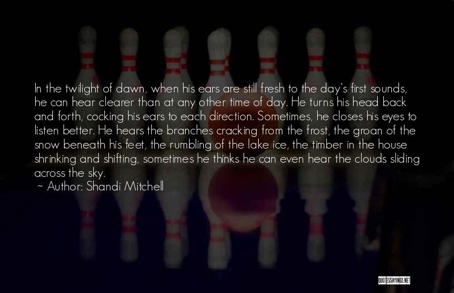 Cracking Quotes By Shandi Mitchell