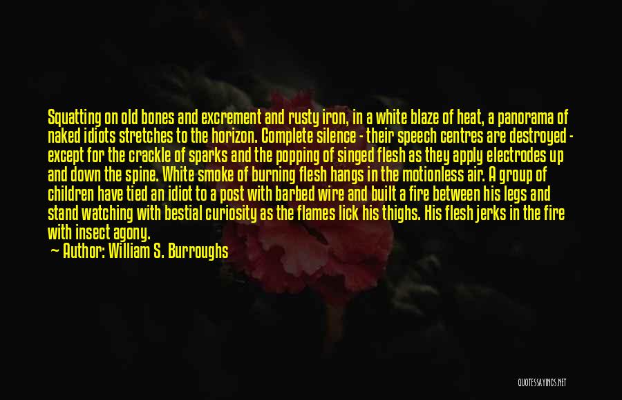 Crackle Quotes By William S. Burroughs