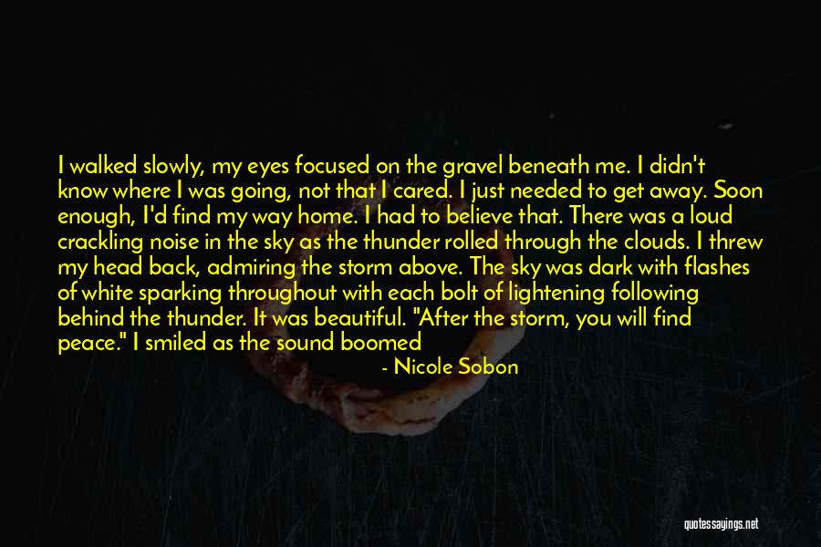 Crackling Noise Quotes By Nicole Sobon Crackling Noise Quotes By Nicole Sobon