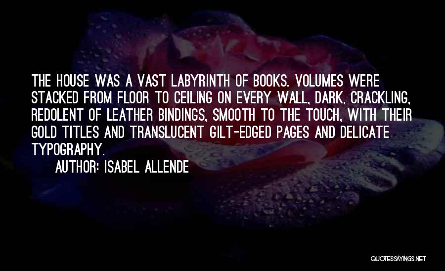 Crackling Quotes By Isabel Allende