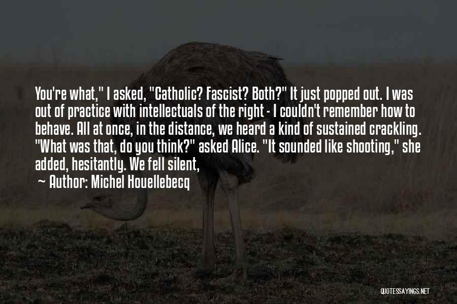 Crackling Quotes By Michel Houellebecq
