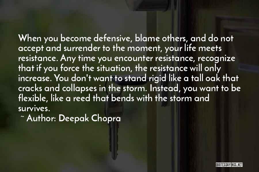 Cracks In Life Quotes By Deepak Chopra