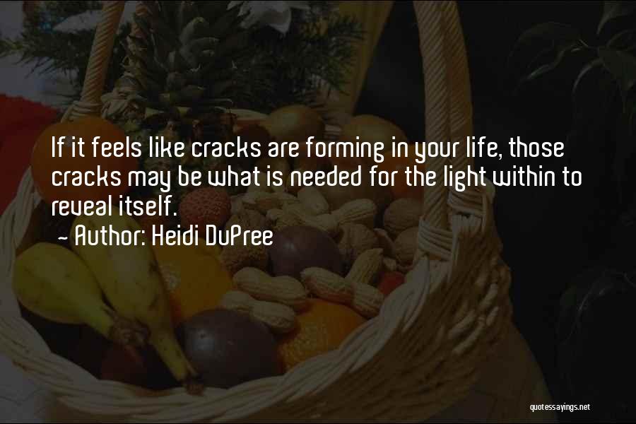Cracks In Life Quotes By Heidi DuPree