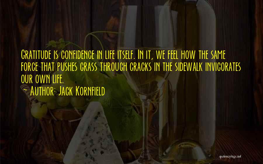 Cracks In Life Quotes By Jack Kornfield