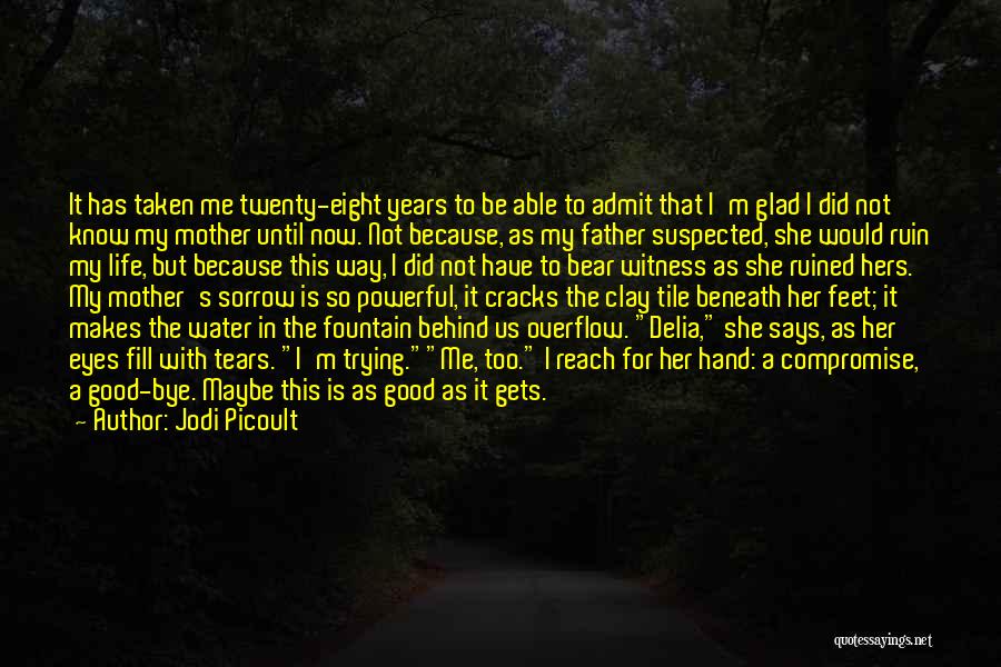 Cracks In Life Quotes By Jodi Picoult