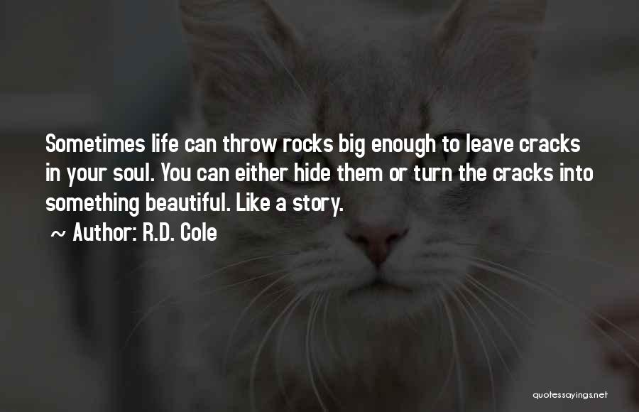 Cracks In Life Quotes By R.D. Cole