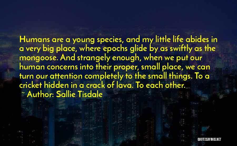 Cracks In Life Quotes By Sallie Tisdale