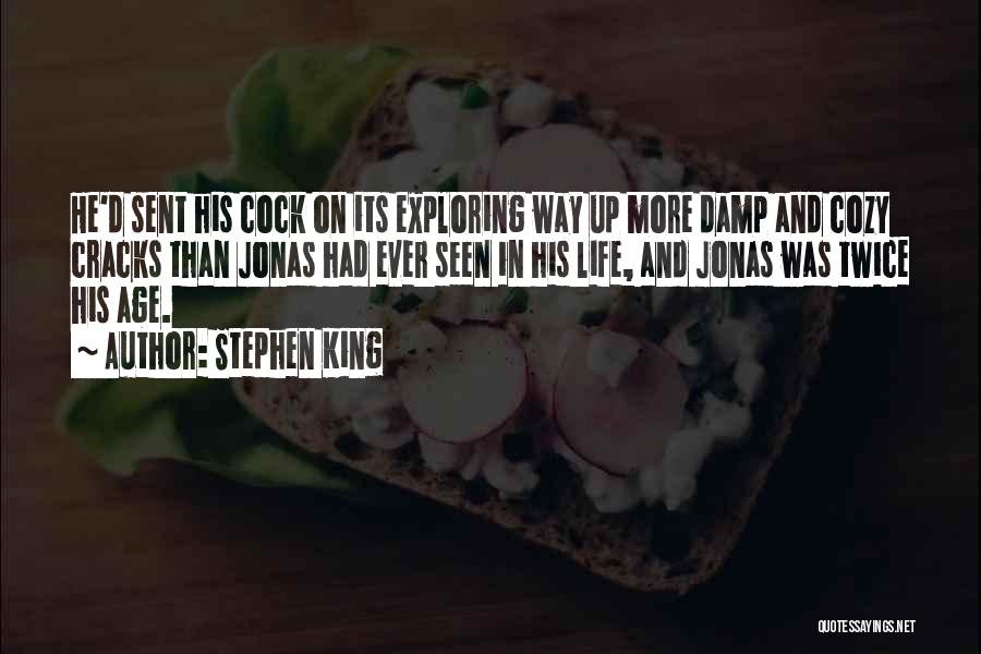 Cracks In Life Quotes By Stephen King