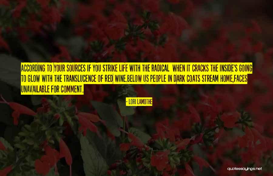 Cracks Of Life Quotes By Lori Lamothe Cracks Of Life Quotes By Lori Lamothe