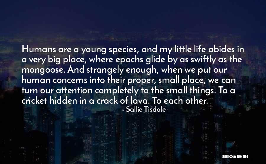 Cracks Of Life Quotes By Sallie Tisdale Cracks Of Life Quotes By Sallie Tisdale