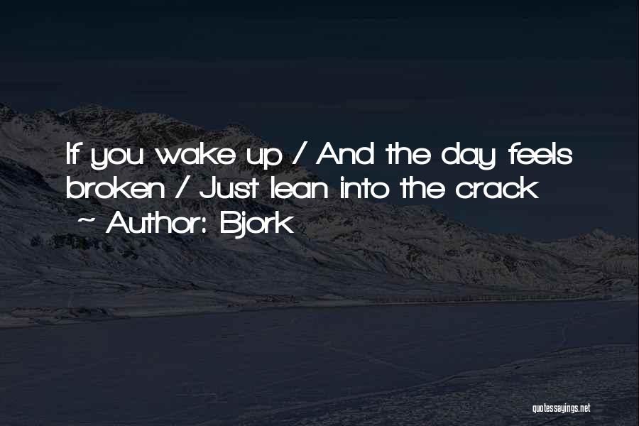 Cracks Quotes By Bjork