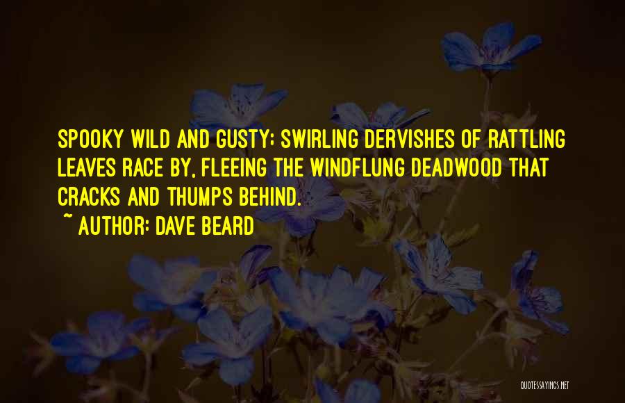 Cracks Quotes By Dave Beard