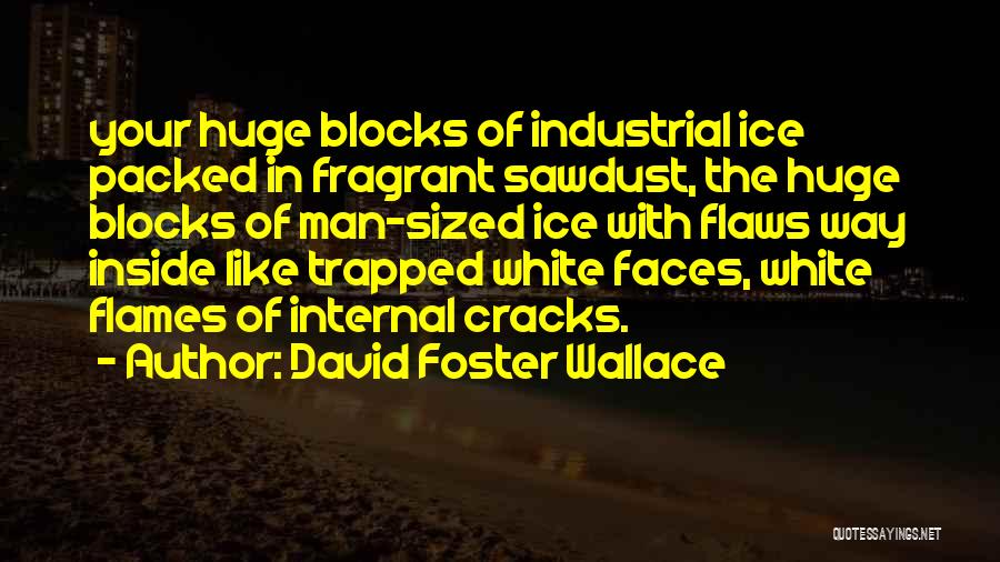 Cracks Quotes By David Foster Wallace