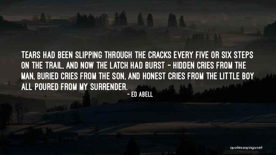 Cracks Quotes By Ed Abell