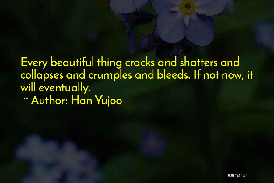 Cracks Quotes By Han Yujoo