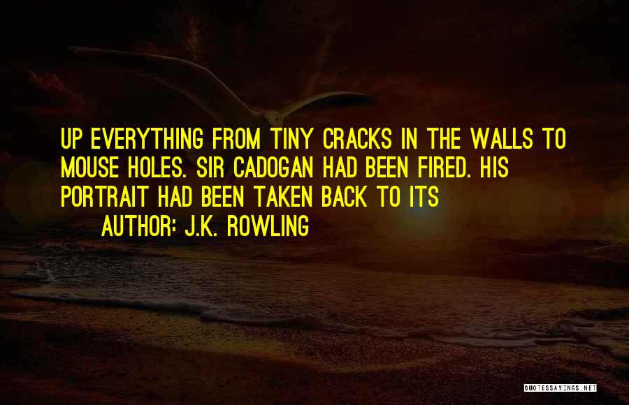Cracks Quotes By J.K. Rowling
